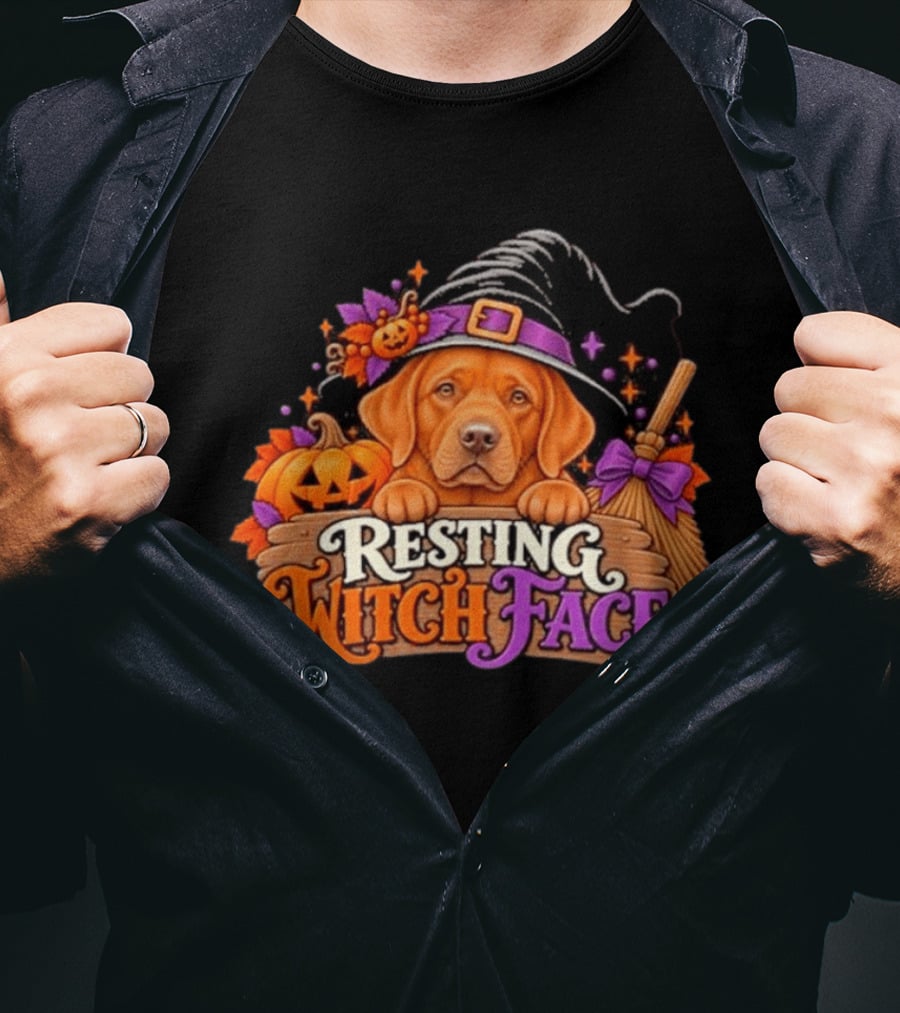 Resting Witch Face Dog Witch Hat Pumpkin Broom Halloween T-Shirt