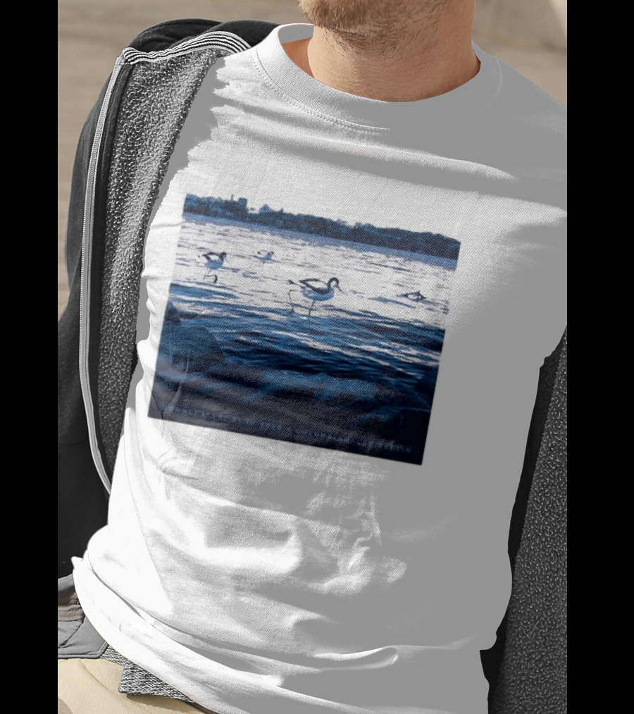 Donnerstag 01.10.2026 Columbiahhalle Berlin Death Cab For Cutie Birds By Water T-Shirt