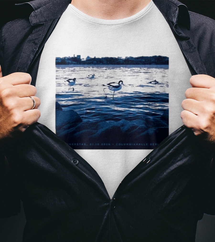 Donnerstag 01.10.2026 Columbiahhalle Berlin Death Cab For Cutie Birds By Water T-Shirt
