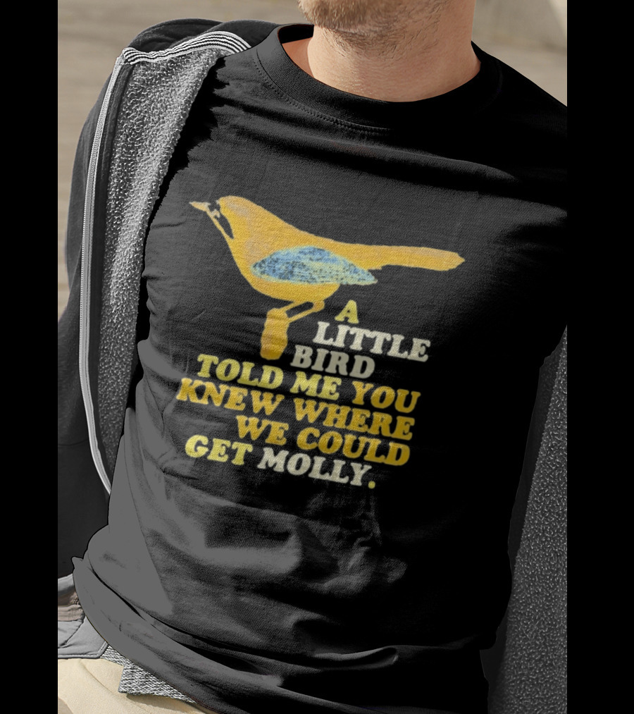 A Little Bird Told Me You Knew Where We Could Get Molly Text With Cartoon Bird T-Shirt