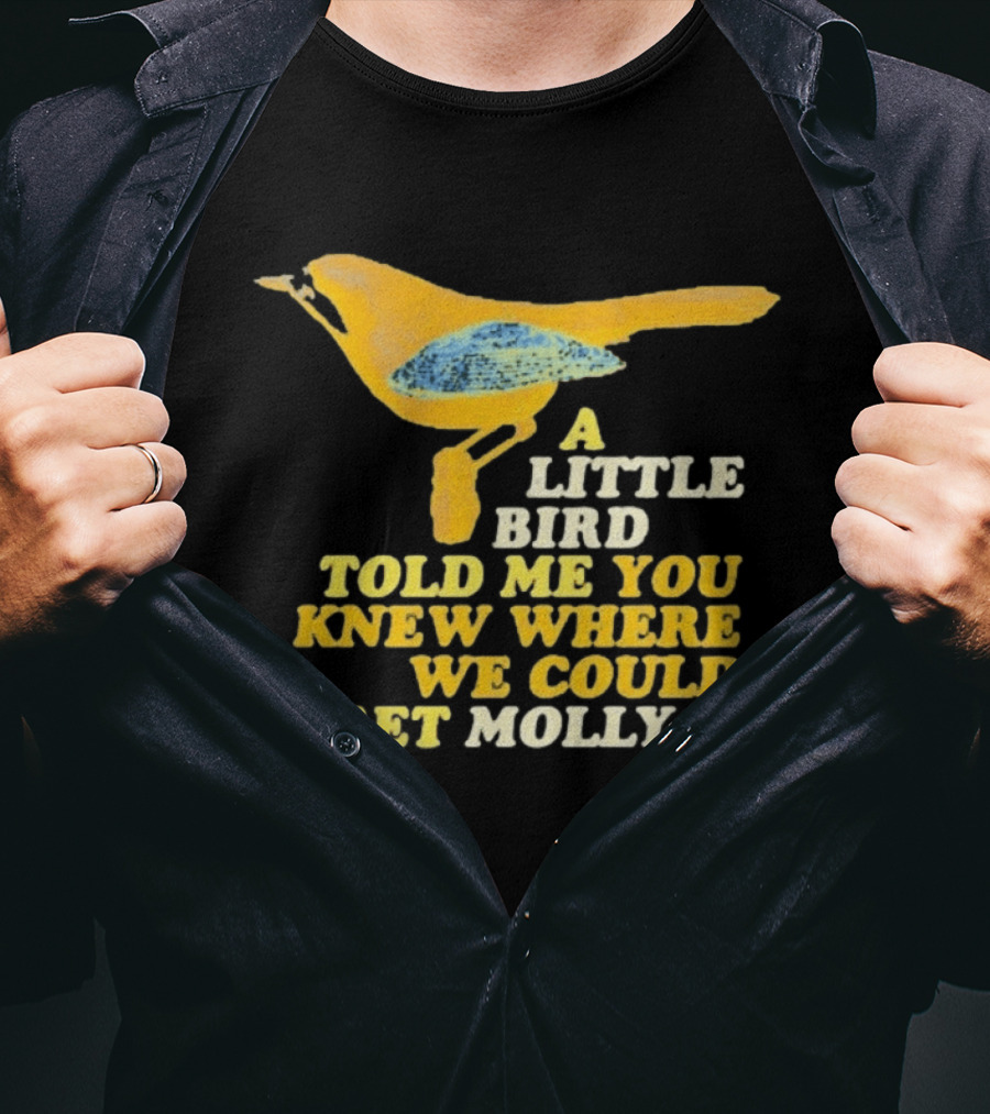 A Little Bird Told Me You Knew Where We Could Get Molly Text With Cartoon Bird T-Shirt