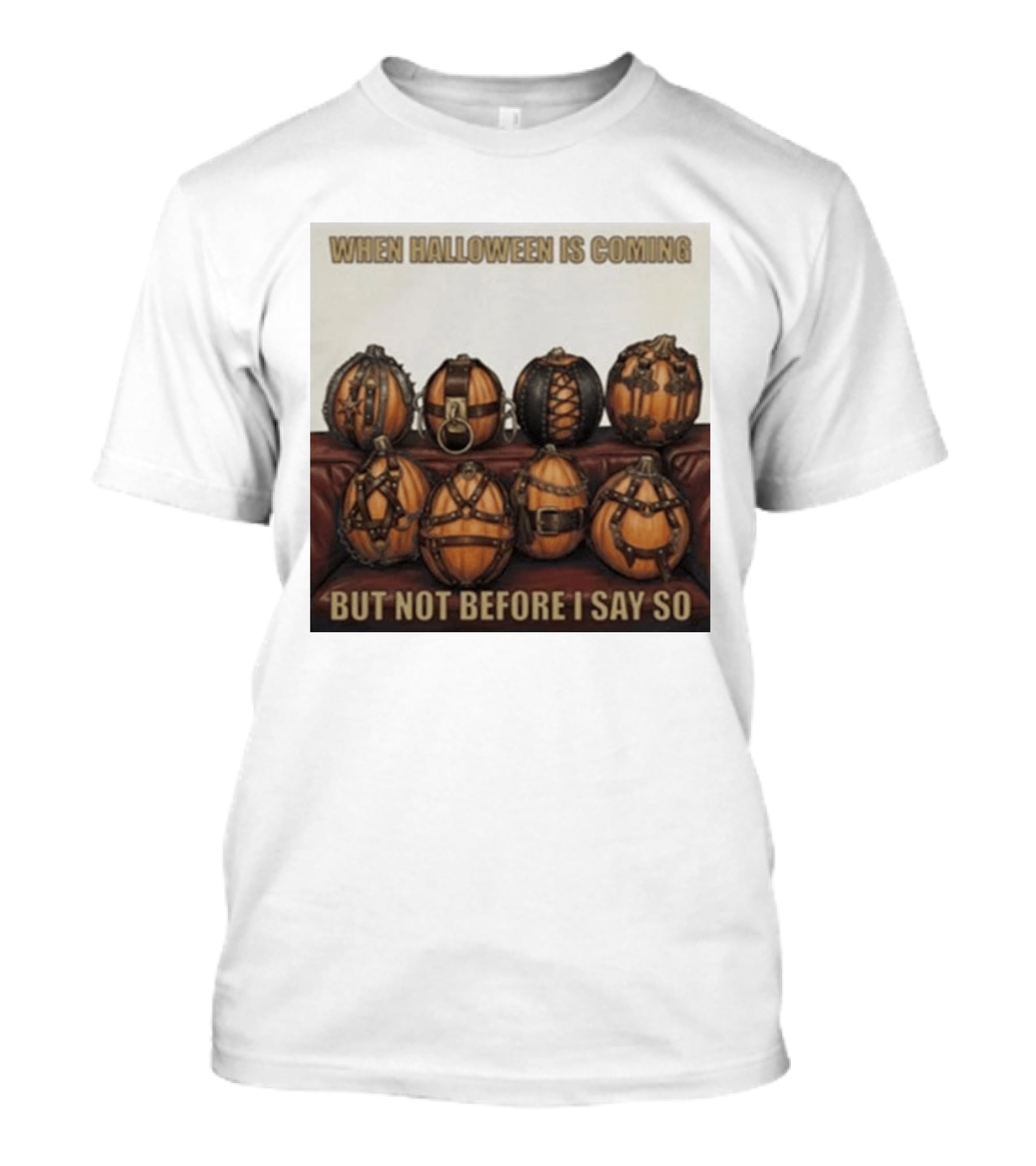 When Halloween Is Coming But Not Before I Say So Pumpkin Arrangement T-Shirt
