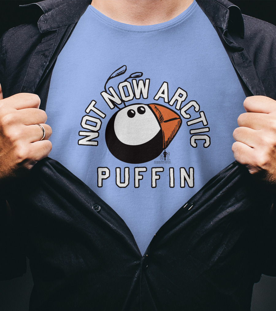 Not Now Arctic Puffin Mood Just Mike T-Shirt