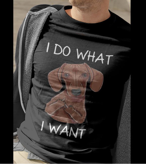 Dachshund I Do What I Want Funny Dachshund I Want T-Shirt