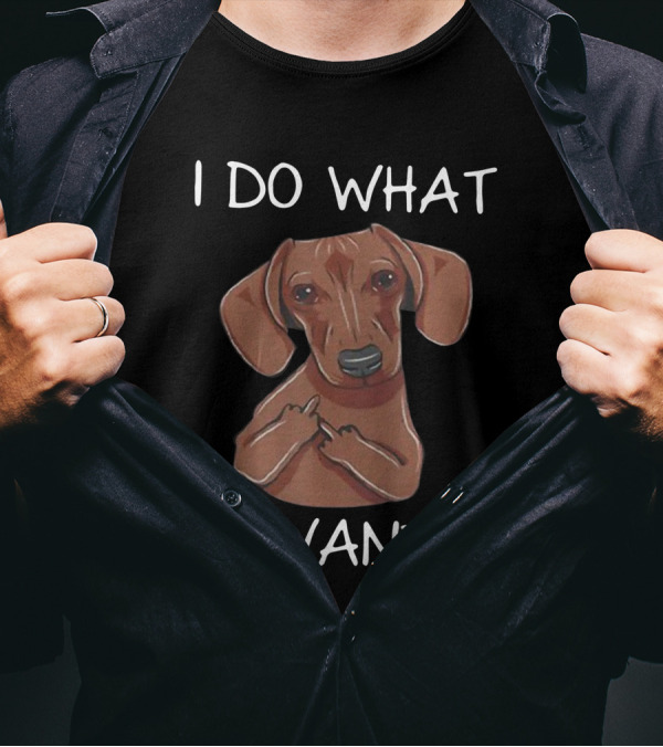 Dachshund I Do What I Want Funny Dachshund I Want T-Shirt