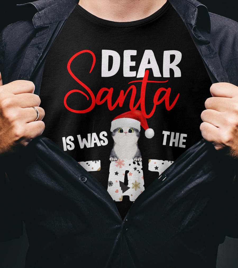 Dear Santa Cute Cat In Santa Hat Holiday Christmas T-Shirt