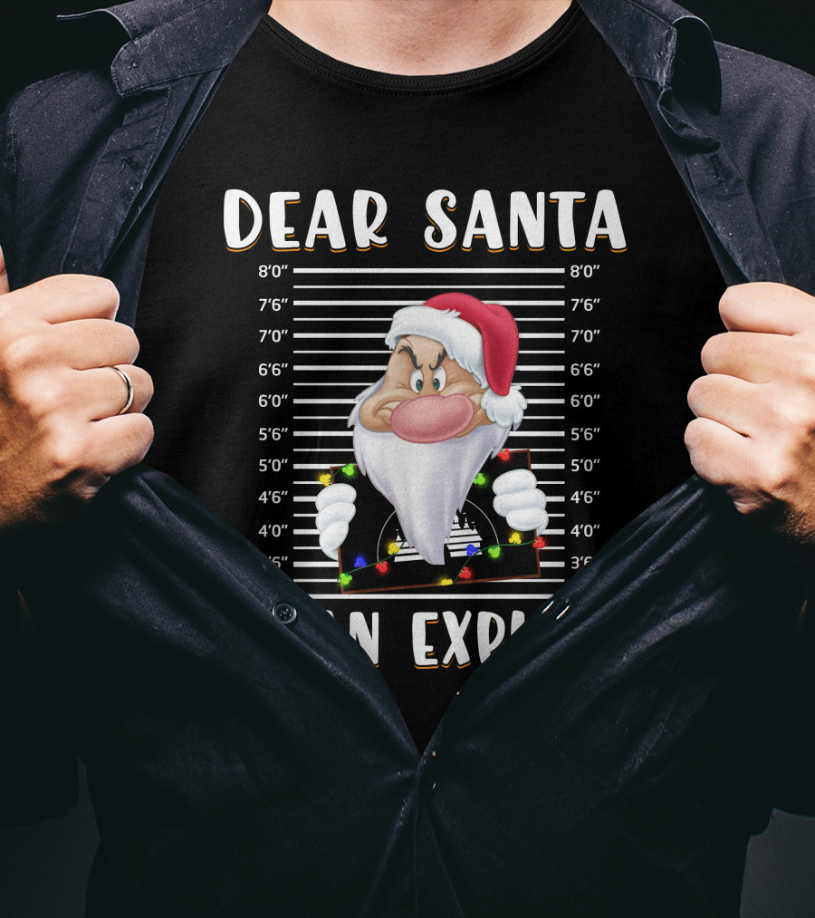 Dear Santa I Can Explain Grumpy Mugshot Christmas Santa Hat T-Shirt