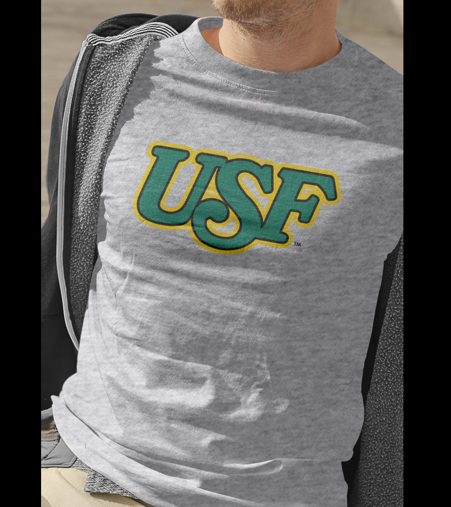 Homefield Apparel Store USF Vintage 1980s USF Logo Gray T-Shirt