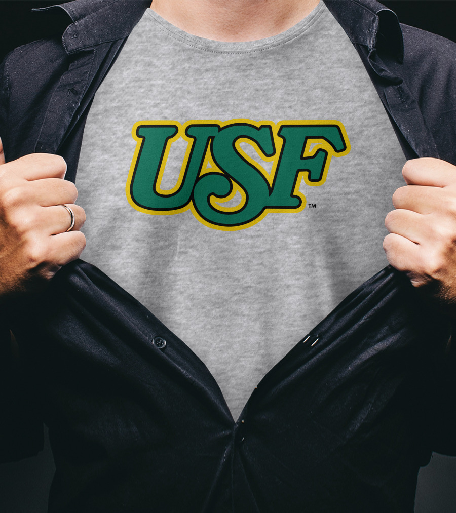 Homefield Apparel Store USF Vintage 1980s USF Logo Gray T-Shirt
