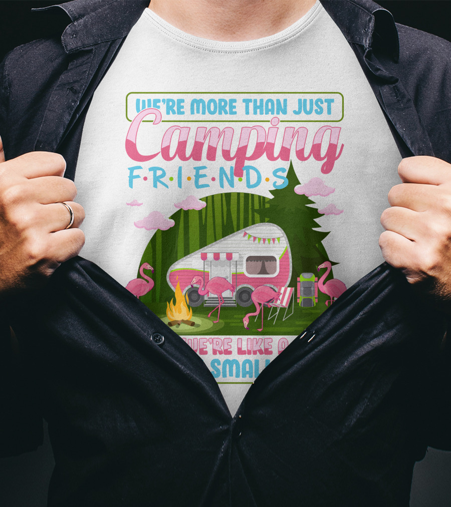 We're More Than Just Camping Friends Flamingo Gang T-Shirt