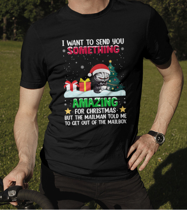 I Want To Send You Something Amazing For Christmas But The Mailman Told Me To Get Out Of The Mailbox Cat T-Shirt
