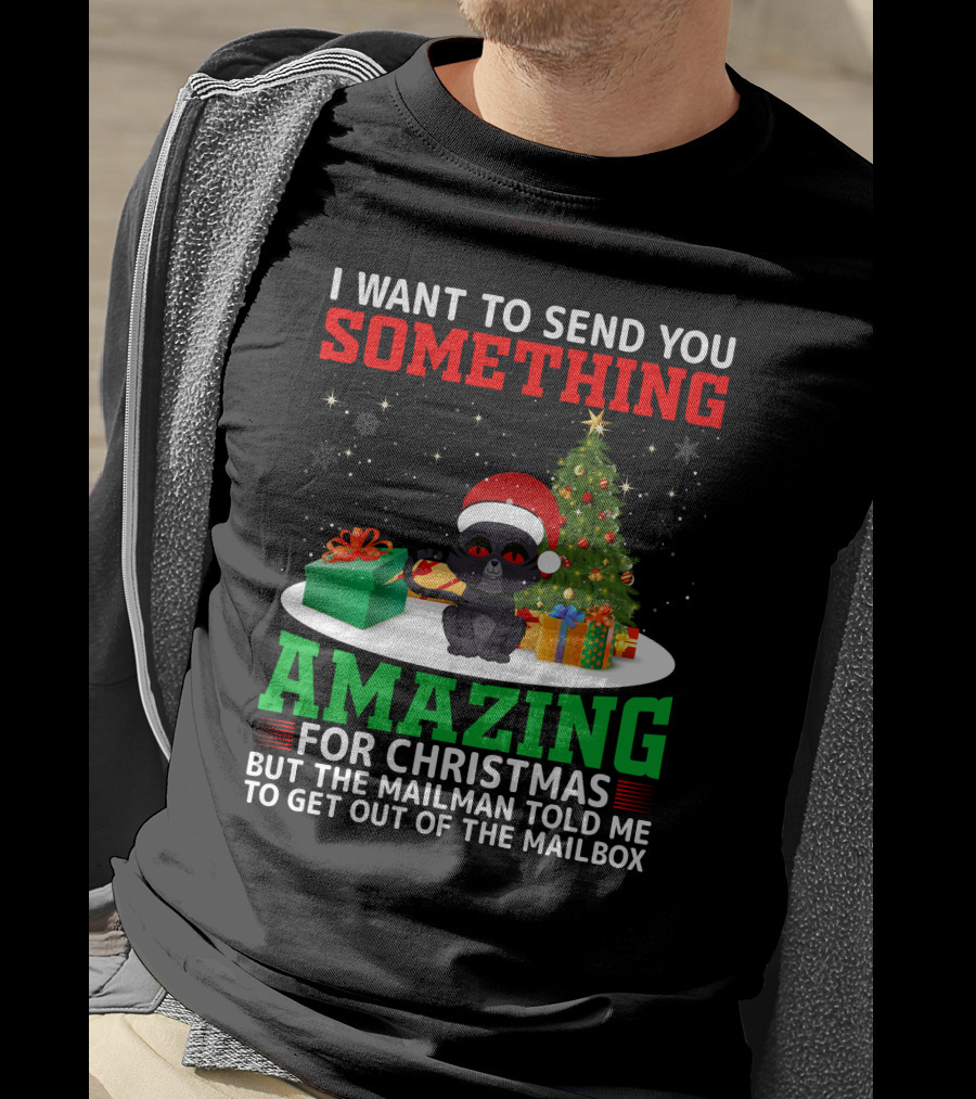 I Want To Send You Something Amazing For Christmas But The Mailman Told Me To Get Out Of The Mailbox T-Shirt