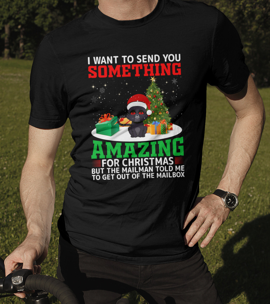 I Want To Send You Something Amazing For Christmas But The Mailman Told Me To Get Out Of The Mailbox T-Shirt
