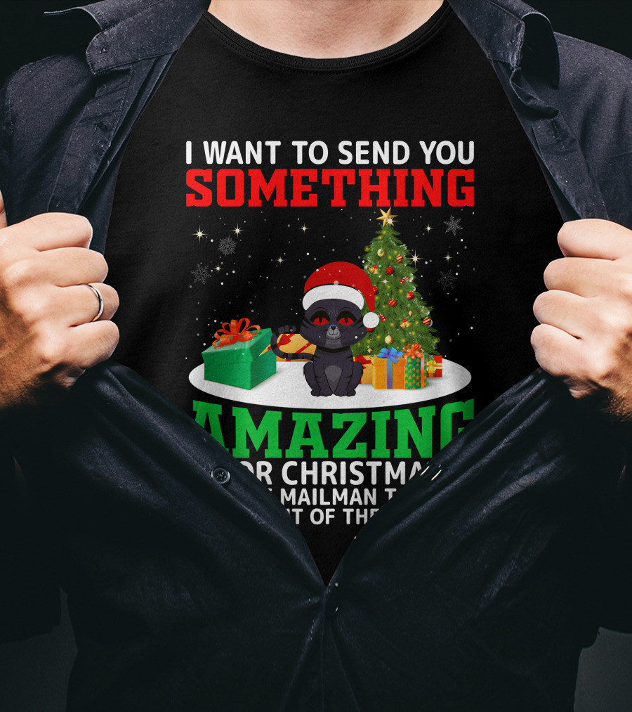 I Want To Send You Something Amazing For Christmas But The Mailman Told Me To Get Out Of The Mailbox T-Shirt