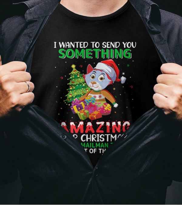 I Wanted To Send You Something Amazing For Christmas But The Mailman Told Me To Get Out Of The Mailbox T-Shirt