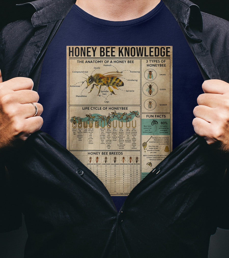 Honey Bee Knowledge Anatomy Types Lifecycle Breeds Fun Facts T-Shirt