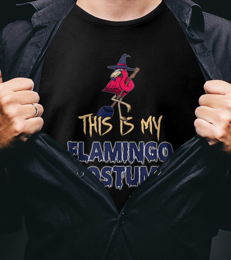 This Is My Flamingo Costume Witch Broomstick Family T-Shirt