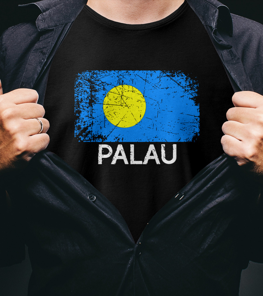 Vintage Palauan Flag Graphic Palau T-Shirt