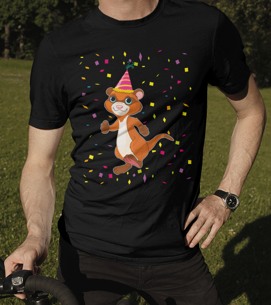 Funny Ferret Birthday Party With Confetti And Hat T-Shirt