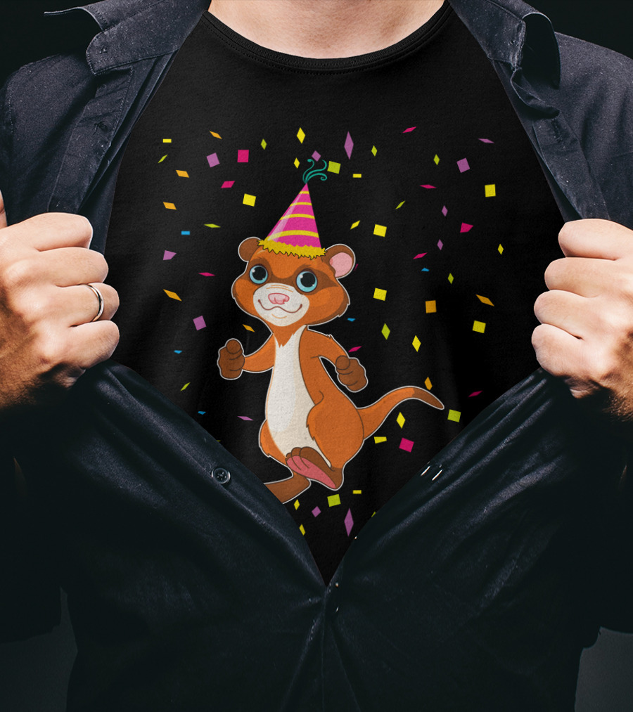 Funny Ferret Birthday Party With Confetti And Hat T-Shirt