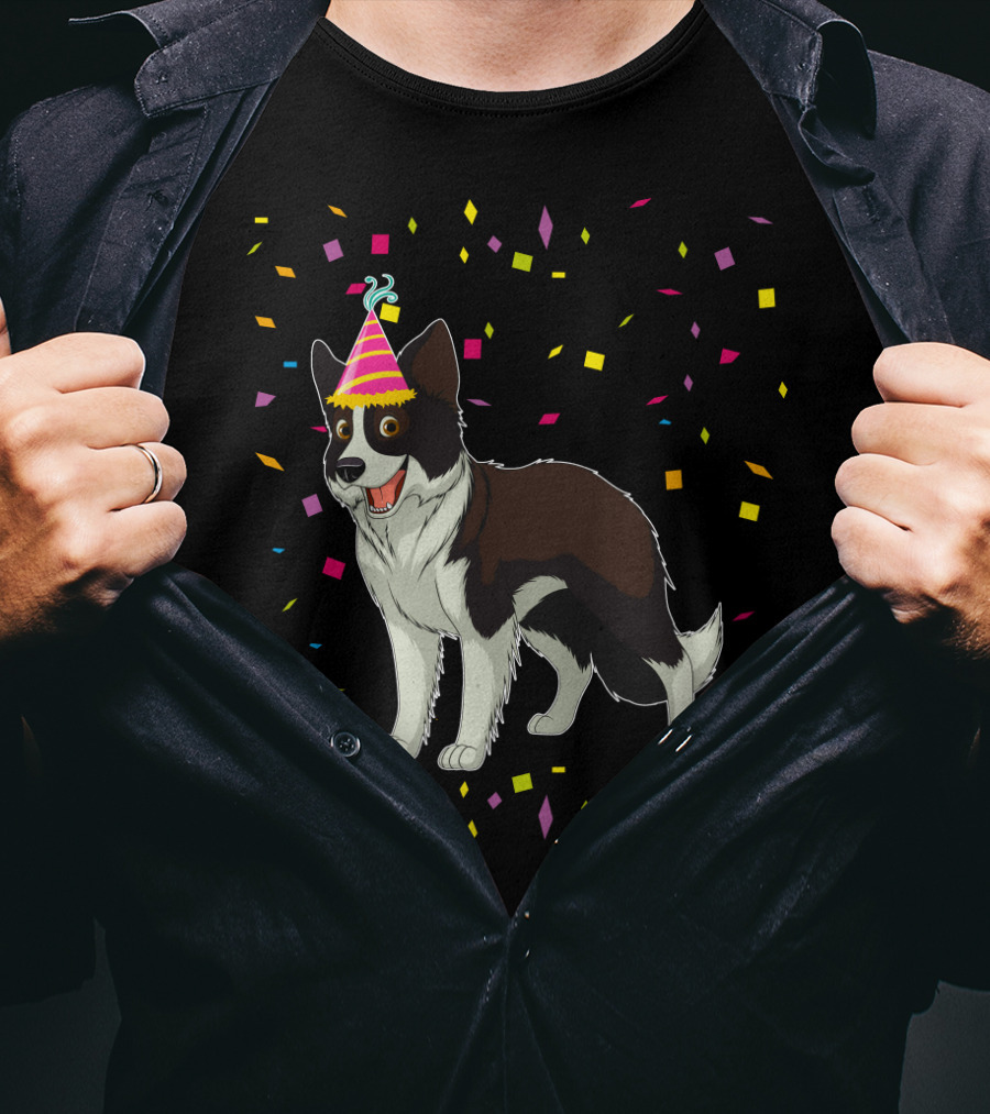 Funny Border Collie Birthday Party Hat Confetti T-Shirt