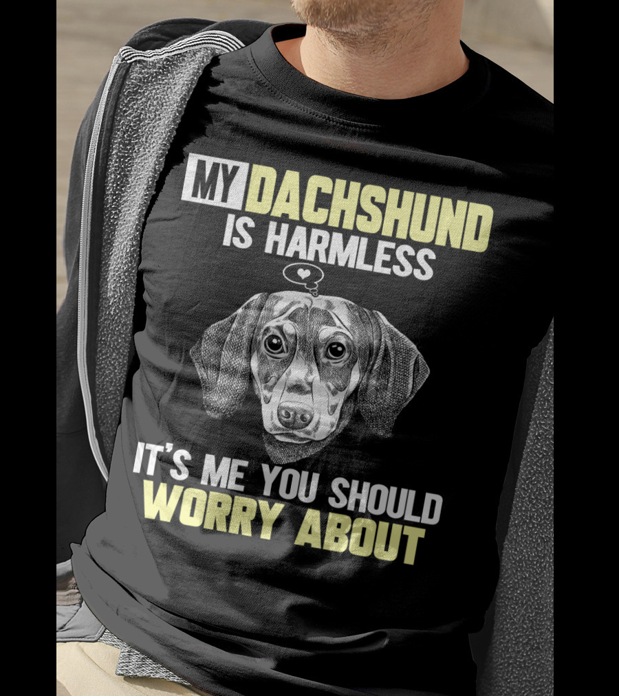 My Dachshund Is Harmless It's ME You Should Worry About T-Shirt