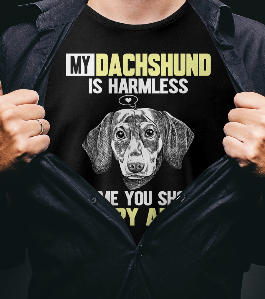 My Dachshund Is Harmless It's ME You Should Worry About T-Shirt