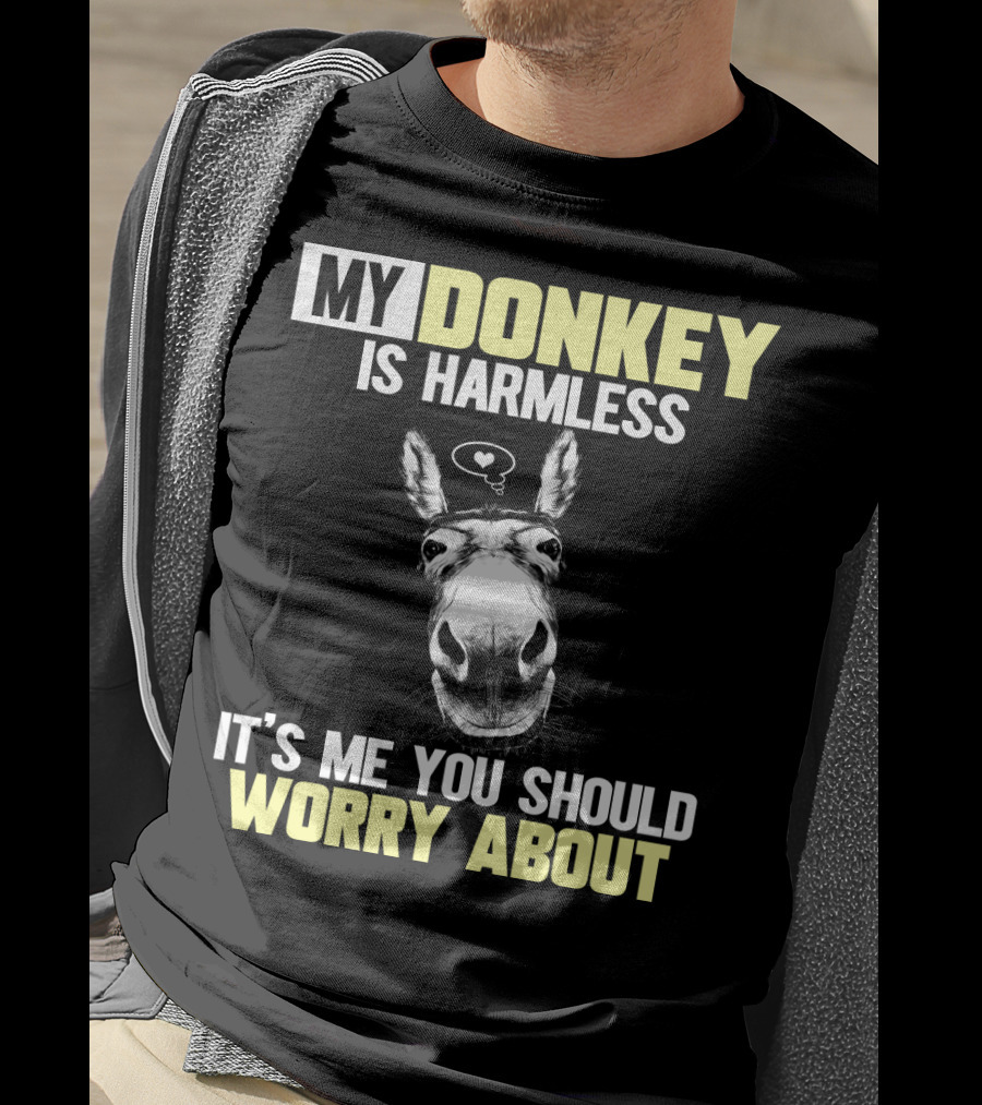 My Donkey Is Harmless It's ME You Should Worry About T-Shirt