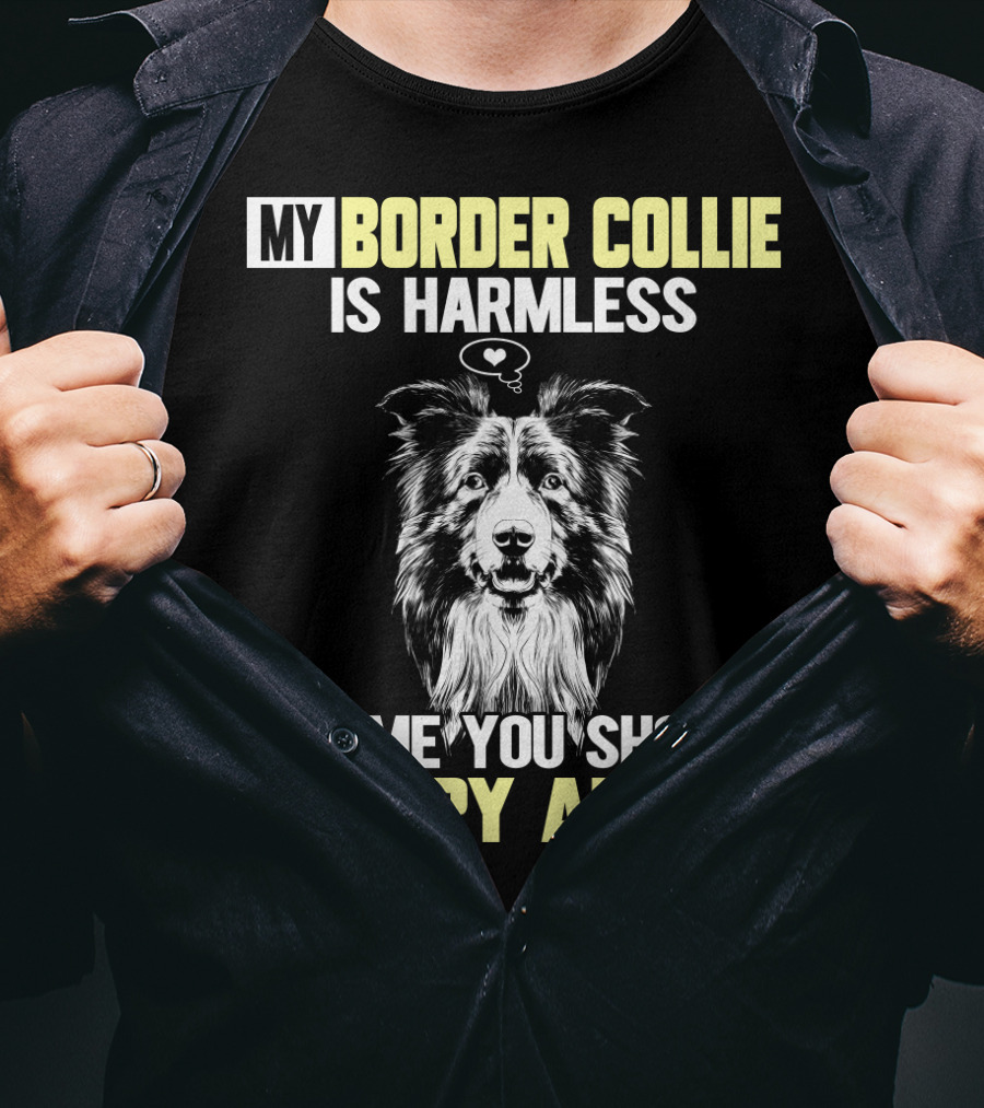 My Border Collie Is Harmless It's ME You Should Worry About T-Shirt