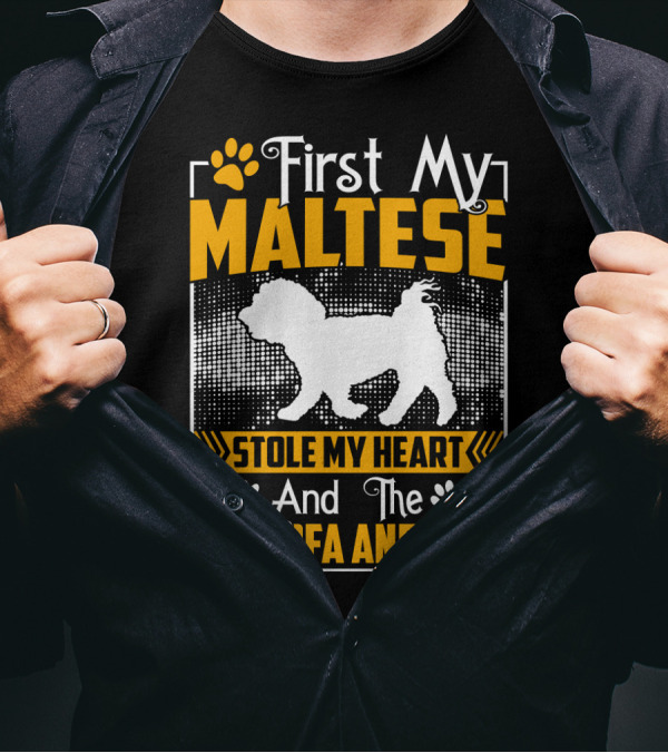 First My Maltese Stole My Heart And The My Sofa And Bed T-Shirt