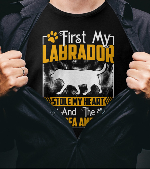 First My Labrador Stole My Heart And Then My Sofa And Bed T-Shirt