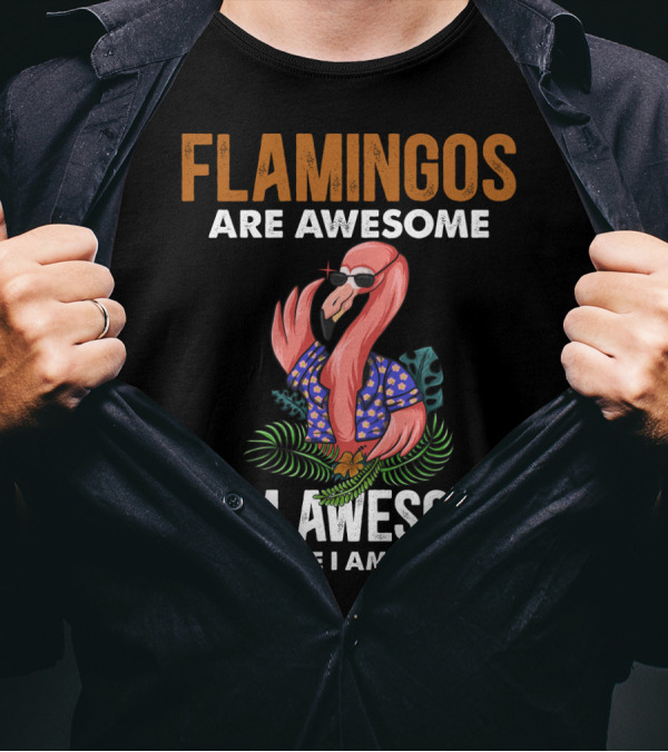 Flamingos Are Awesome Therefore I Am A Flamingo I Am Awesome Funny Bird Lover T-Shirt