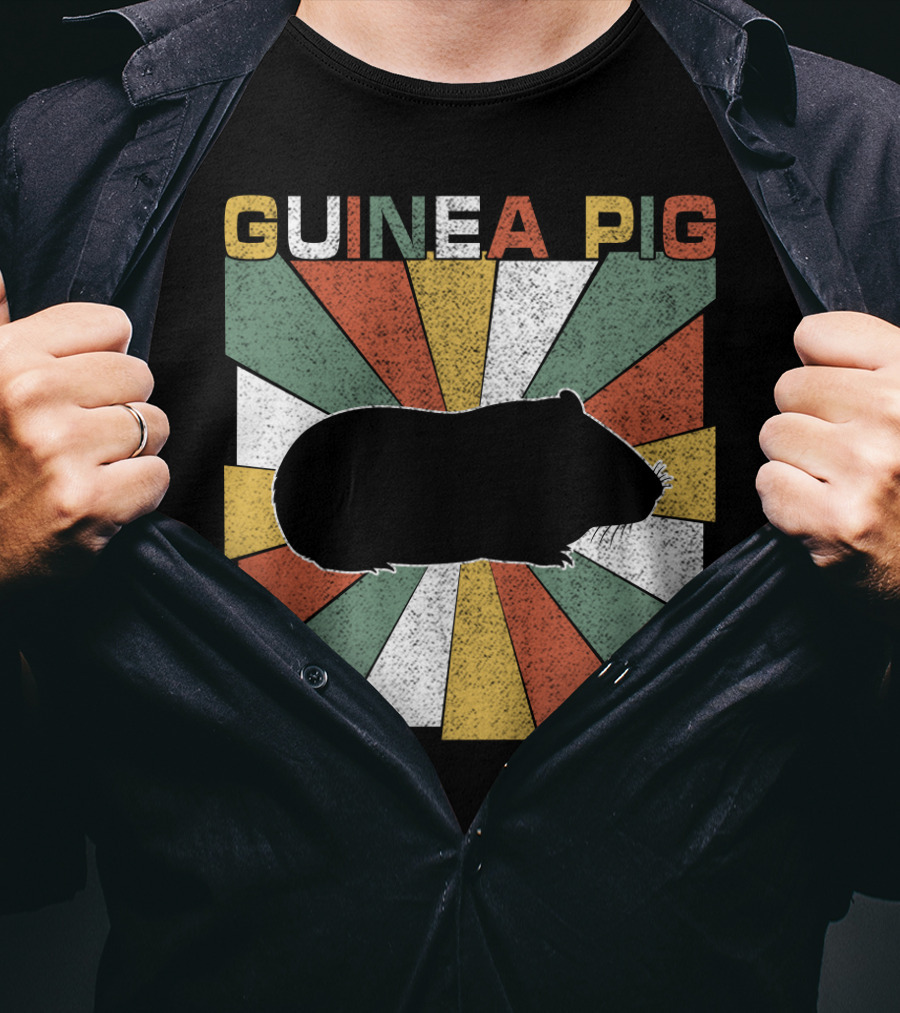Guinea Pig Retro 70s Silhouette With Vintage Color Block T-Shirt