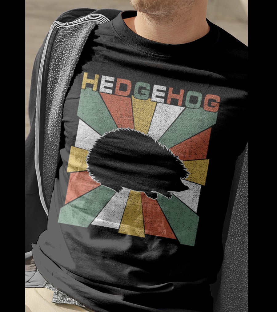 Hedgehog Retro 70s Silhouette Vintage Stripe Burst T-Shirt