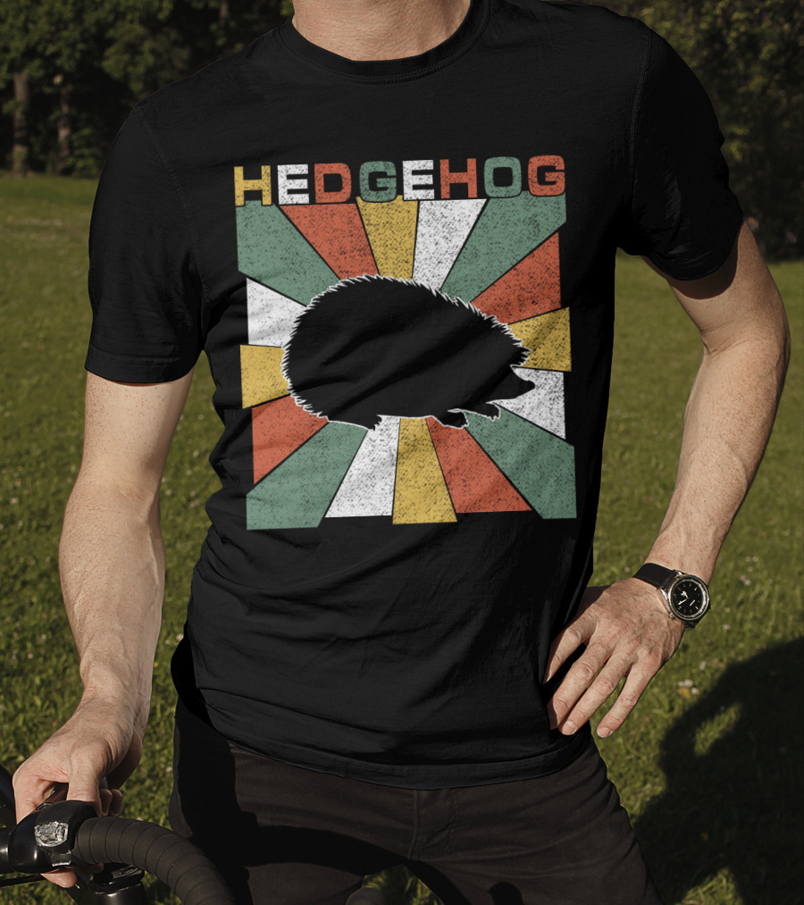 Hedgehog Retro 70s Silhouette Vintage Stripe Burst T-Shirt