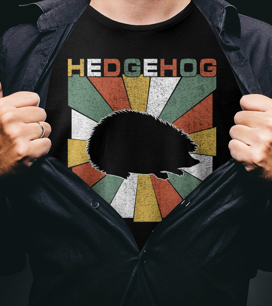 Hedgehog Retro 70s Silhouette Vintage Stripe Burst T-Shirt