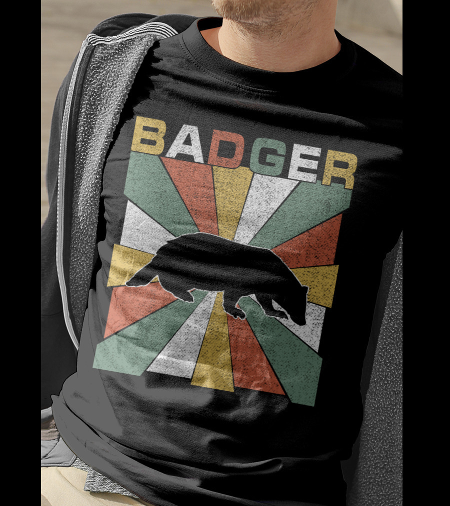 BADGER Vintage 70s Silhouette With Colorful Retro Stripes T-Shirt