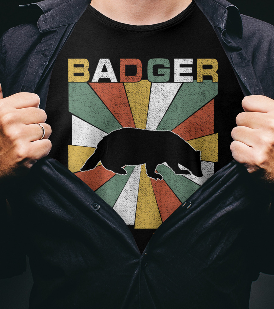 BADGER Vintage 70s Silhouette With Colorful Retro Stripes T-Shirt
