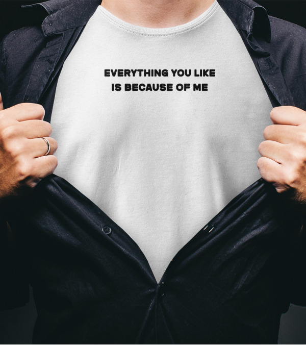 Everything You Like Is Because Of Me T-Shirt