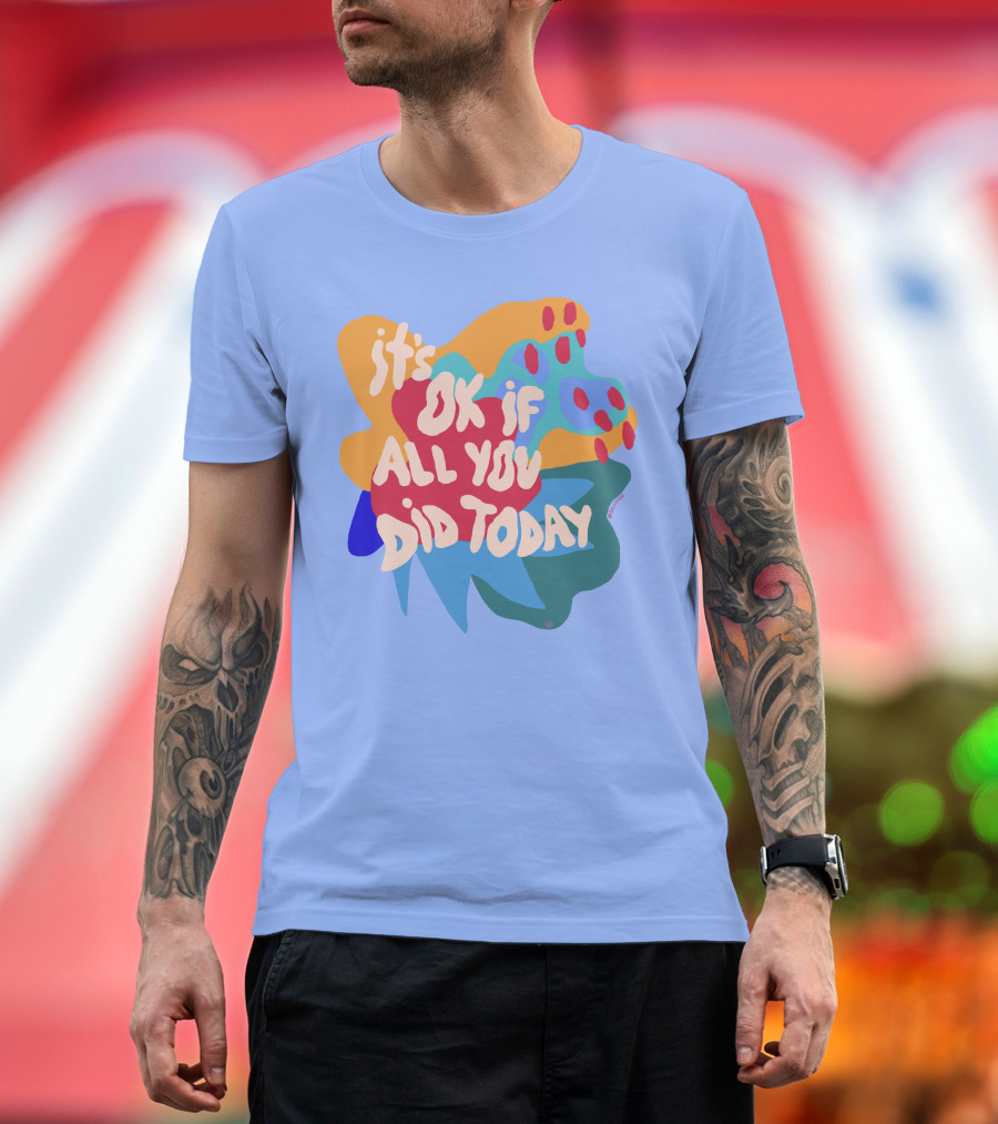 it's ok if all you did today T-Shirt