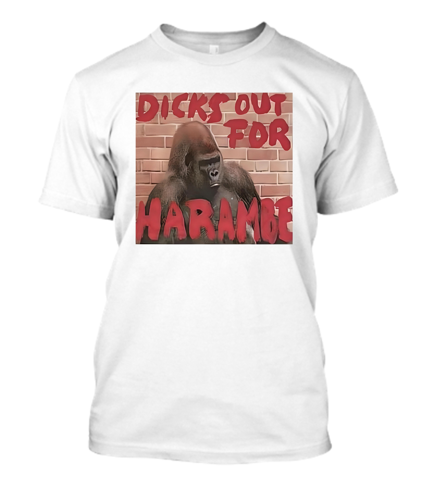 Dicks Out For Harambe T-Shirt
