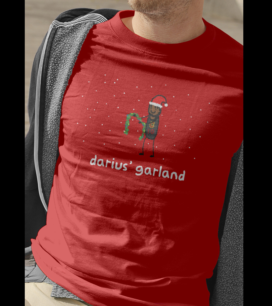 Darius' Garland Festive Christmas Cartoon With Santa Hat And Green Decoration T-Shirt
