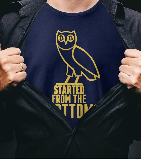 Mr Hodl Bitcoin Started From The Bottom Owl Bitcoin Eyes T-Shirt
