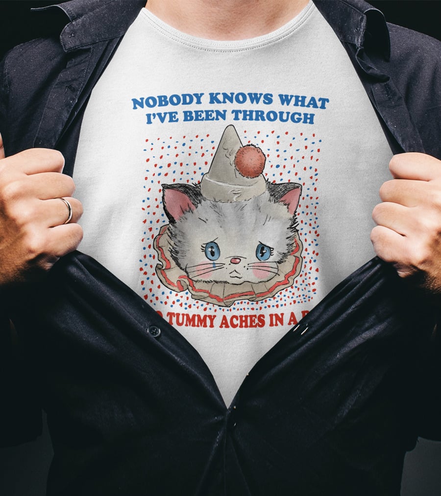 Nobody Knows What I've Been Through (Two Tummy Aches IN A Day) Cute Party Hat Cat T-Shirt