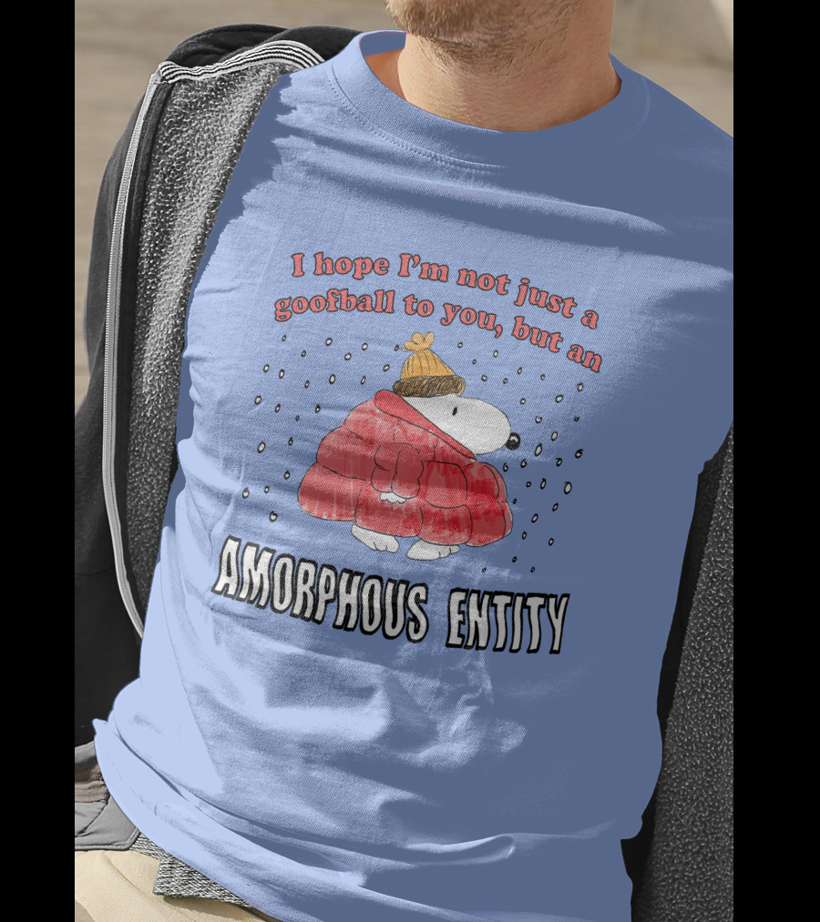 I Hope I'm Not Just A Goofball To You But An Amorphous Entity In Winter Wear T-Shirt