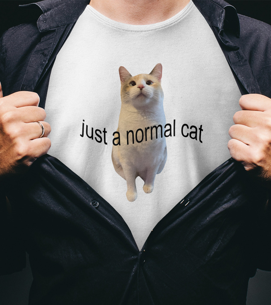 Just A Normal Cat T-Shirt