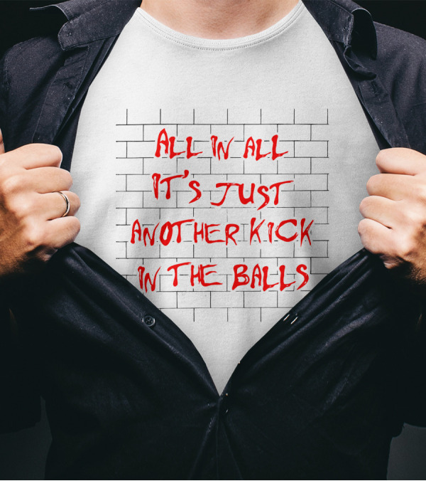 Pink Floyd Inspired All In All It's Just Another Kick In The Balls Brick Wall T-Shirt