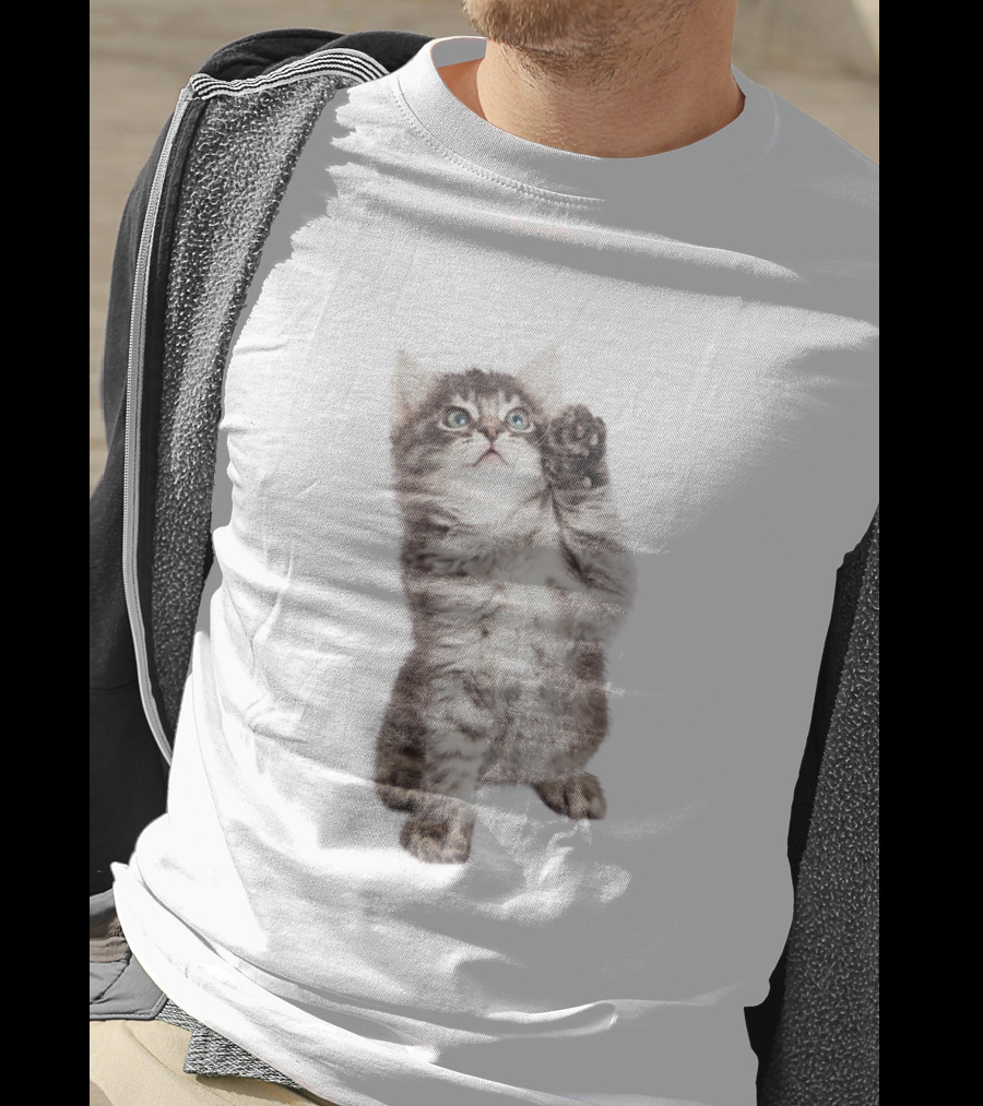 Cat Cute Playful Kitten Paw Lift T-Shirt