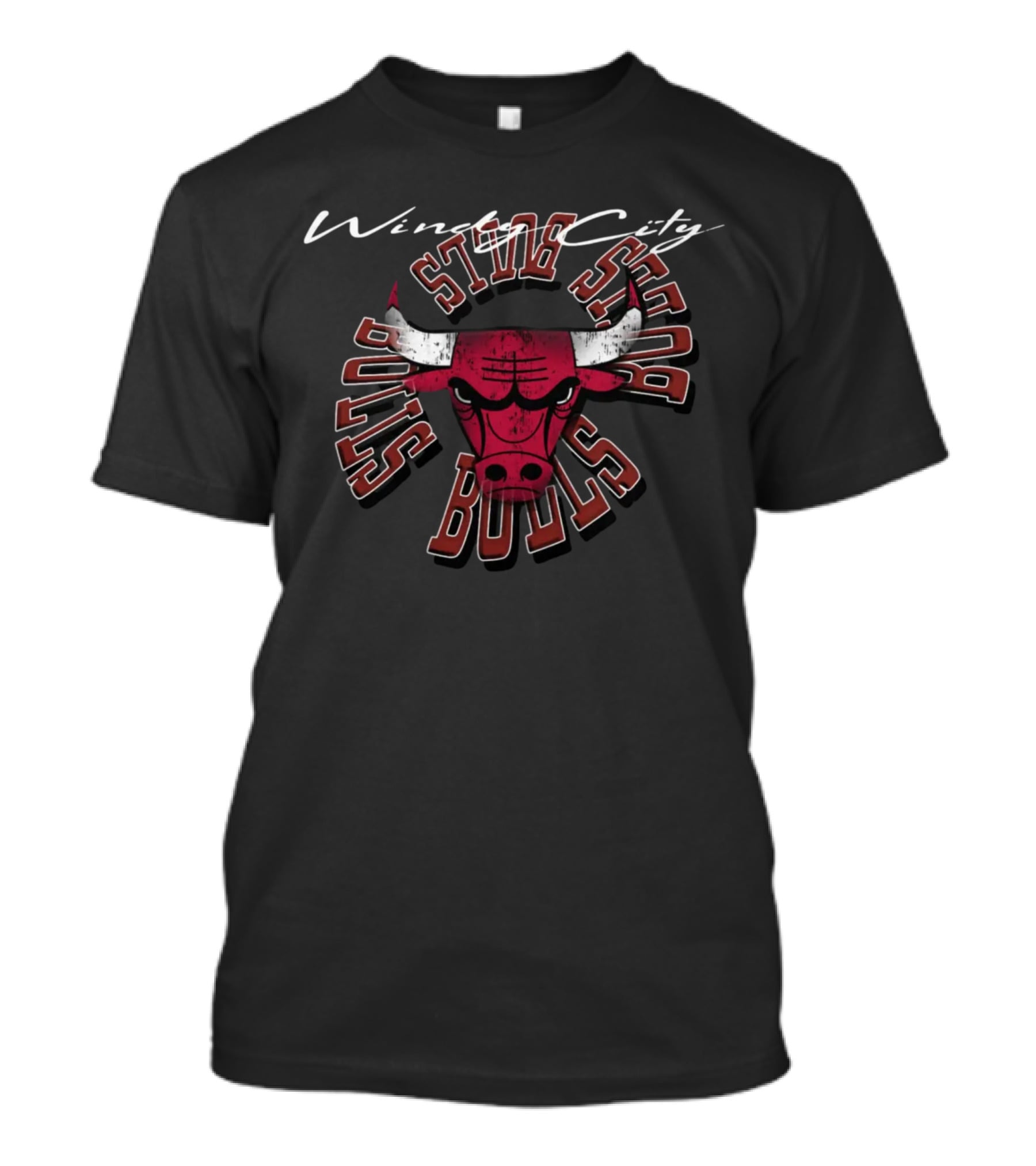 Windy City Bulls Logo House Of Highlights Shop Kot4Q Collaboration T-Shirt