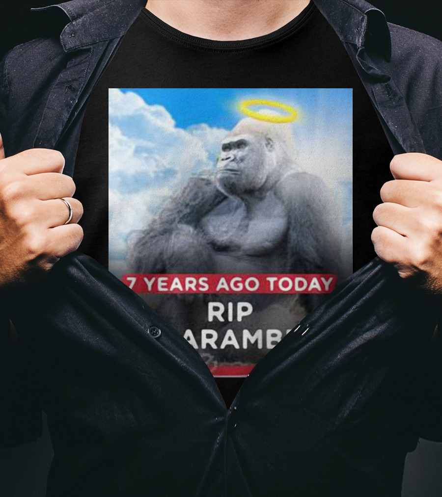 7 Years Ago Today Rip Harambe Halo Clouds T-Shirt